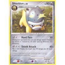 Shieldon