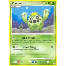 Cacnea