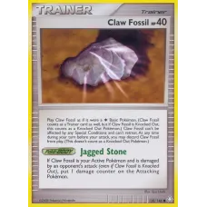 Claw Fossil