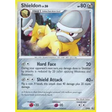 Shieldon