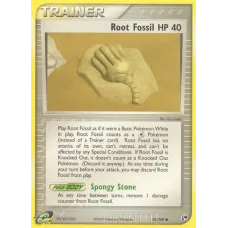 Root Fossil