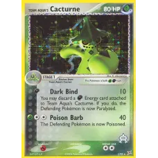 Team Aqua's Cacturne