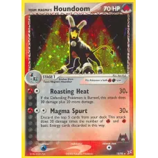 Team Magma's Houndoom