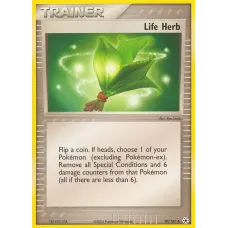 Life Herb Life Herb