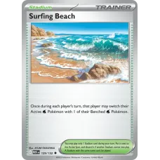 Praia de Surfista