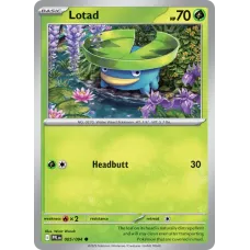 Lotad