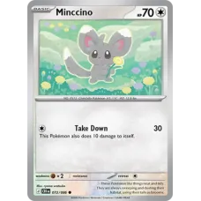 Minccino