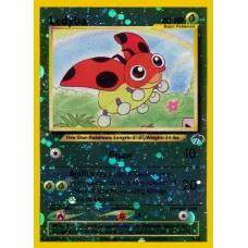 Ledyba