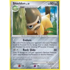 Shieldon