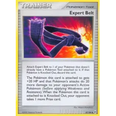 Expert Belt