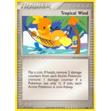 Tropical Wind