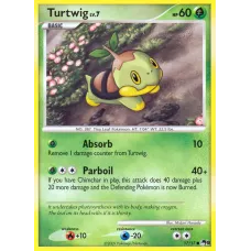 Turtwig