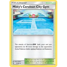 Misty’s Cerulean City Gym