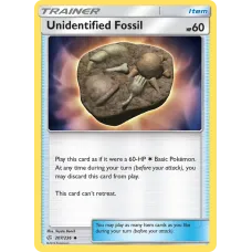 Fóssil Não Identificado