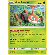 Rotom Corte