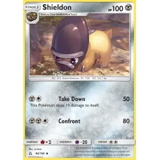 Shieldon
