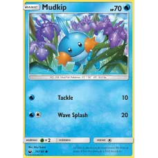 Mudkip