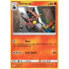 Torracat