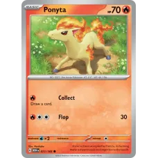 Ponyta