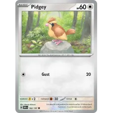 Pidgey