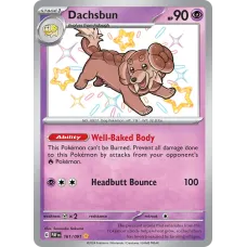 Dachsbun