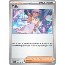 Tulipa