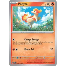 Ponyta