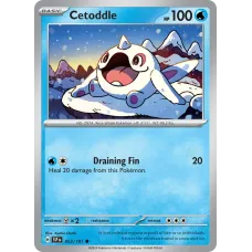 Cetoddle