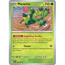 Maractus