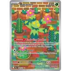 Maractus