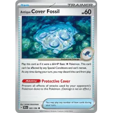 Fóssil Casca Arcaico