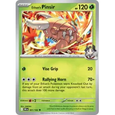 Pinsir do Ethan Pinsir do Ethan