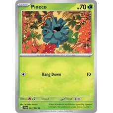 Pineco Pineco