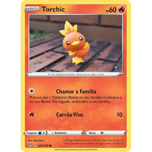 Torchic