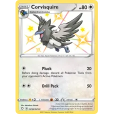 Corvisquire
