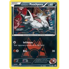 Team Magma's Poochyena