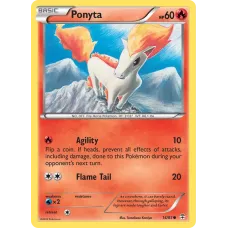 Ponyta