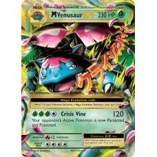 M Venusaur EX