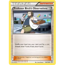 Observações do Professor Birch