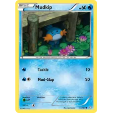 Mudkip