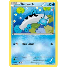 Barboach