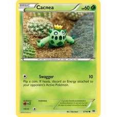 Cacnea