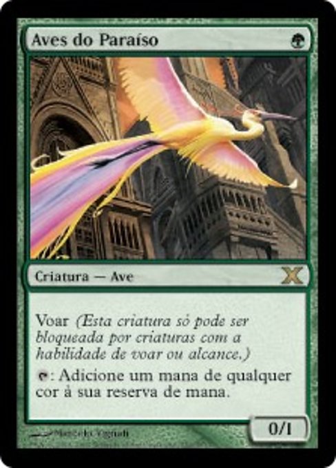 Aves do Paraíso