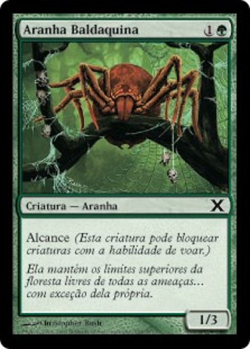 Aranha Baldaquina