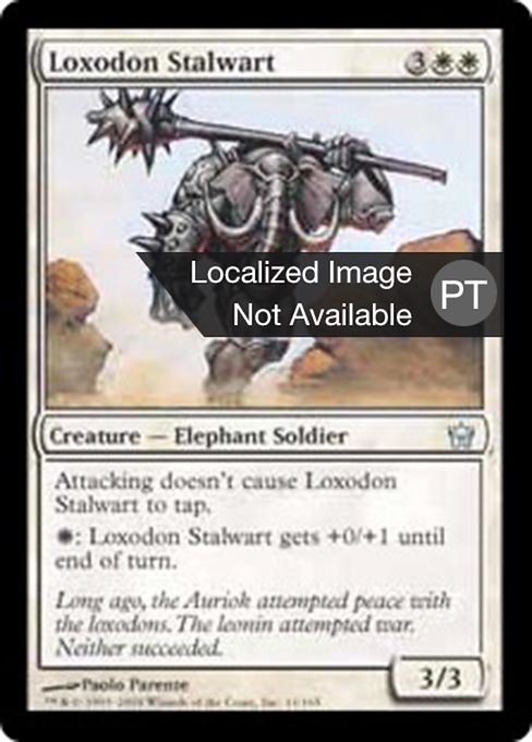 Loxodonte Robusto