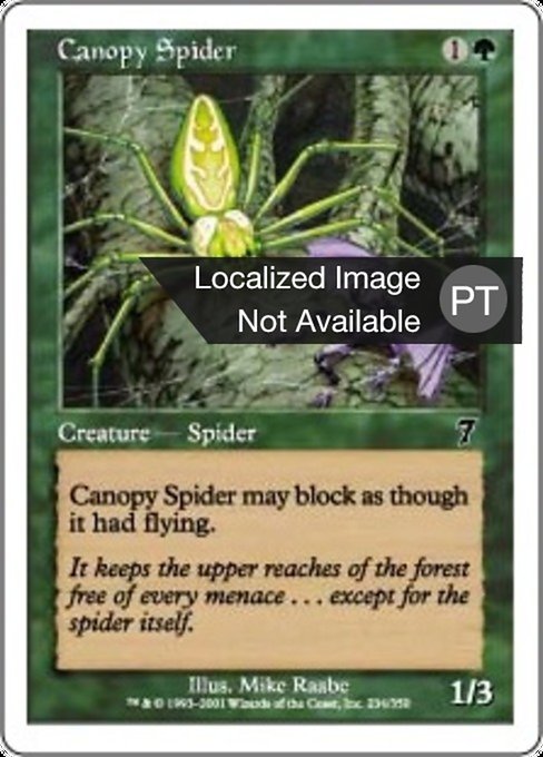 Aranha Baldaquina