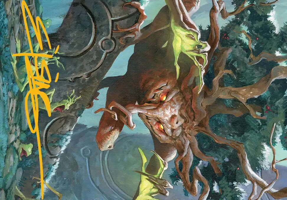 Ferrafor, Young Yew // Ferrafor, Young Yew