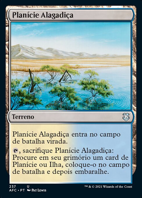 Planície Alagadiça