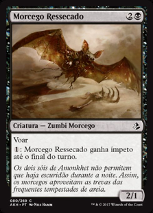 Morcego Ressecado