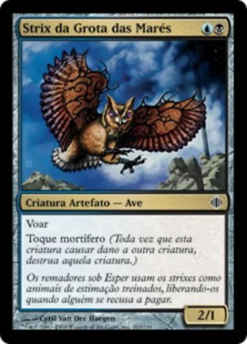 Strix da Grota das Marés